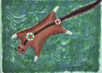 Krafttier Gleithörnchenbeutler, 2011