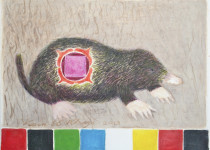 Krafttier Maulwurf, 2013